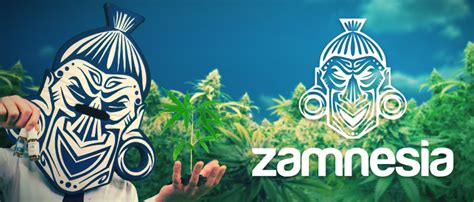 zamesia|An honest review of Zamnesia